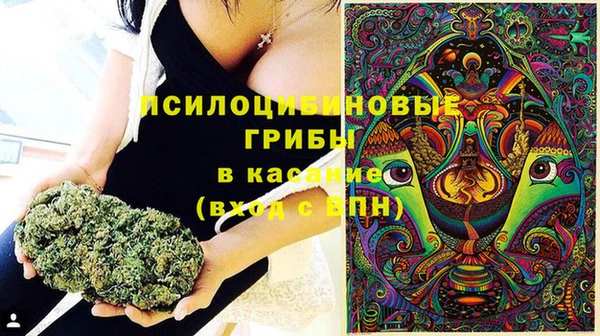 ECSTASY Богородицк